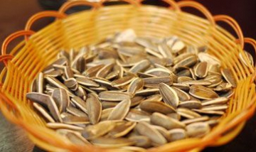 巴彥淖爾市晨泰工貿有限公司全景...