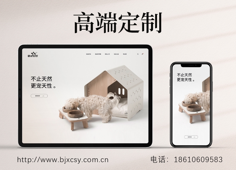 網(wǎng)站改版、網(wǎng)站升級、網(wǎng)站制作、北京網(wǎng)站制作