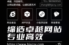 星誠視野、北京網(wǎng)絡(luò)公司、北京高端網(wǎng)站建設(shè)、北京企業(yè)網(wǎng)站建設(shè)