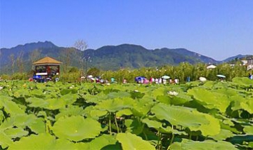 廣元市利州區(qū)三堆鎮(zhèn)人民政府全景...