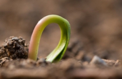 微信小程序、包裝制作小程序