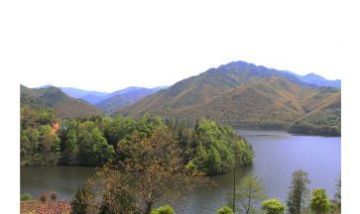 新昌縣巧英鄉(xiāng)人民政府全景圖