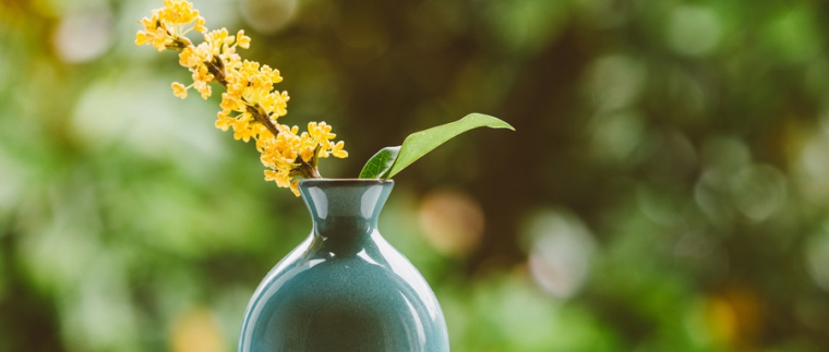 北京網(wǎng)站建設(shè)、北京網(wǎng)站建設(shè)公司、北京網(wǎng)絡(luò)公司