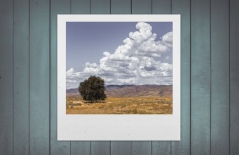 北京做網站、高端品牌網站建設、北京網頁設計公司、北京高端網站建設、教育類網站建設