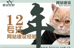 北京網(wǎng)站建設(shè)、北京網(wǎng)站制作公司、高端品牌網(wǎng)站建設(shè)、北京高端網(wǎng)站建設(shè)