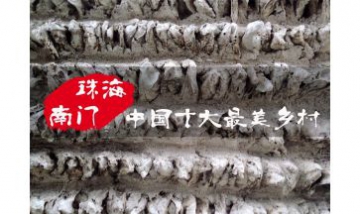 珠海市斗門區(qū)南門村全景圖