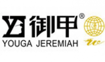 杭州威龍汽車裝潢用品有限公司全...