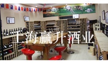 上海贏升實(shí)業(yè)有限公司全景圖